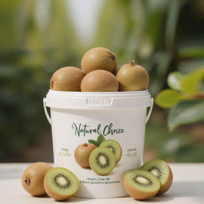 comprar 300 ml~10 L Balde de embalagem de frutas frescas e respiráveis com tampa e alça Balde de armazenamento de frutas para frutas de kiwi Fabricação em linha